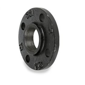 Super Duplex Companion Flange